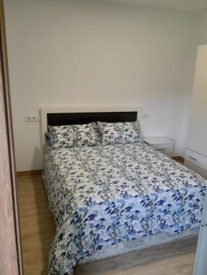 Cíes Suites Castrelos 234 - Flats with hotel services